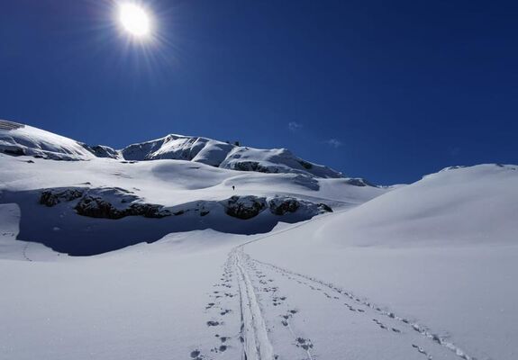 Mountain is covered in snow that glistens in the sunlight