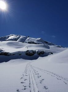 Mountain is covered in snow that glistens in the sunlight